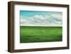 Signs of Life-Annie Bailey Art-Framed Photographic Print