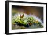 Signs of Spring 1-Ursula Abresch-Framed Photographic Print