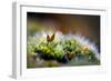 Signs of Spring 1-Ursula Abresch-Framed Photographic Print