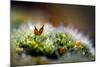 Signs of Spring 1-Ursula Abresch-Mounted Photographic Print