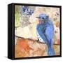 Signs of Spring I-Elizabeth St. Hilaire-Framed Stretched Canvas