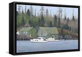 Signs of Spring-David Knowlton-Framed Stretched Canvas