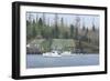 Signs of Spring-David Knowlton-Framed Premium Giclee Print