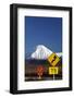 Signs on Desert Road, Mt. Ngauruhoe, Tongariro NP, Central Plateau, N Isl, New Zealand-David Wall-Framed Photographic Print