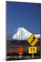 Signs on Desert Road, Mt. Ngauruhoe, Tongariro NP, Central Plateau, N Isl, New Zealand-David Wall-Mounted Photographic Print