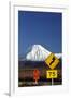 Signs on Desert Road, Mt. Ngauruhoe, Tongariro NP, Central Plateau, N Isl, New Zealand-David Wall-Framed Photographic Print