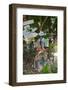 Signs on Tree at Mama Pasta'S, Long Bay, Antigua, Leeward Islands, West Indies-Frank Fell-Framed Photographic Print