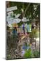 Signs on Tree at Mama Pasta'S, Long Bay, Antigua, Leeward Islands, West Indies-Frank Fell-Mounted Photographic Print