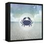 Signs_SeaLife_Crab-LightBoxJournal-Framed Stretched Canvas