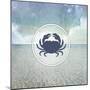 Signs_SeaLife_Crab-LightBoxJournal-Mounted Giclee Print