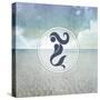 Signs_SeaLife_Mermaid-LightBoxJournal-Stretched Canvas