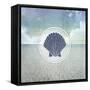 Signs_SeaLife_SeaShell2-LightBoxJournal-Framed Stretched Canvas