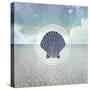 Signs_SeaLife_SeaShell2-LightBoxJournal-Stretched Canvas