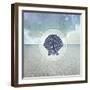 Signs_SeaLife_SeaShell2-LightBoxJournal-Framed Giclee Print