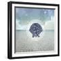 Signs_SeaLife_SeaShell2-LightBoxJournal-Framed Giclee Print