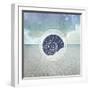 Signs_SeaLife_SeaShell-LightBoxJournal-Framed Giclee Print