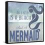 Signs_SeaLife_Typography_BeachAndAMermaid-LightBoxJournal-Framed Stretched Canvas