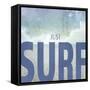 Signs_SeaLife_Typography_JustSurf-LightBoxJournal-Framed Stretched Canvas