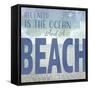 Signs_SeaLife_Typography_Ocean&Beach-LightBoxJournal-Framed Stretched Canvas