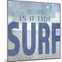 Signs_SeaLife_Typography_Tide&Surf-LightBoxJournal-Mounted Giclee Print