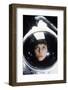 SIGOURNEY WEAVER. "alien" [1979], directed by RIDLEY SCOTT.-null-Framed Photographic Print