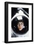 SIGOURNEY WEAVER. "alien" [1979], directed by RIDLEY SCOTT.-null-Framed Photographic Print