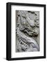 Sik Sik Yuen Wong Tai Sin Temple, Kowloon, Hong Kong, China.-Michael DeFreitas-Framed Photographic Print