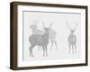 Sika Deer  2017  (digital)-Sarah Hough-Framed Giclee Print