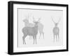 Sika Deer  2017  (digital)-Sarah Hough-Framed Giclee Print