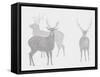 Sika Deer  2017  (digital)-Sarah Hough-Framed Stretched Canvas