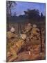 Sikh Soldiers in France During the First World War-WRS Stott-Mounted Art Print