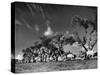 Sikhs Migrating to Hindu Section of Punjab After the Partitioning of India-Margaret Bourke-White-Stretched Canvas