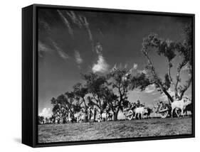 Sikhs Migrating to Hindu Section of Punjab After the Partitioning of India-Margaret Bourke-White-Framed Stretched Canvas