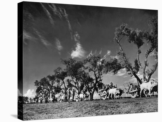 Sikhs Migrating to Hindu Section of Punjab After the Partitioning of India-Margaret Bourke-White-Stretched Canvas