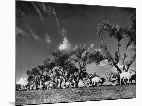 Sikhs Migrating to Hindu Section of Punjab After the Partitioning of India-Margaret Bourke-White-Mounted Photographic Print