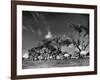 Sikhs Migrating to Hindu Section of Punjab After the Partitioning of India-Margaret Bourke-White-Framed Photographic Print