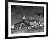 Sikhs Migrating to Hindu Section of Punjab After the Partitioning of India-Margaret Bourke-White-Framed Photographic Print