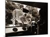 Sikuku the Cheetah Peers into a Car at Woburn Wild Animal Kingdom Bedfordshire, July 1970-null-Mounted Photographic Print