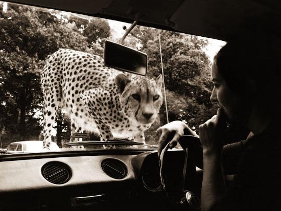 Photographic Print, , large