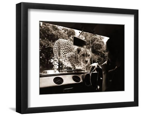 Premium Photographic Print, , large