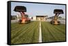 Silage-null-Framed Stretched Canvas