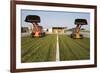 Silage-null-Framed Photographic Print