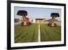 Silage-null-Framed Photographic Print