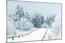 Wood Mount