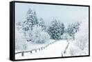 Canvas Black