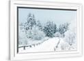 Gramercy White