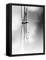 Silence-Ursula Abresch-Framed Stretched Canvas