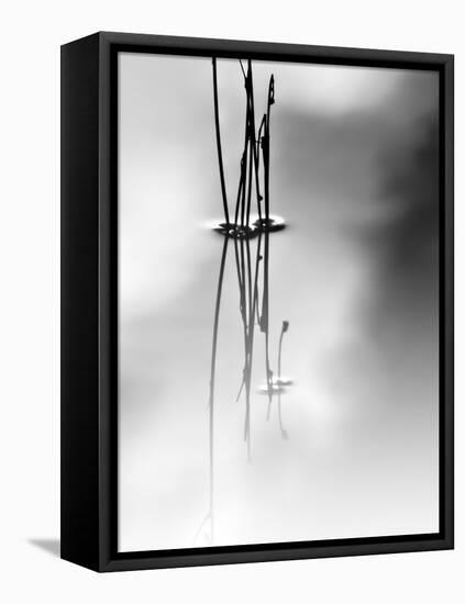 Silence-Ursula Abresch-Framed Stretched Canvas