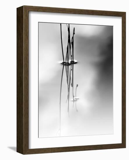 Silence-Ursula Abresch-Framed Photographic Print