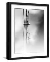 Silence-Ursula Abresch-Framed Photographic Print